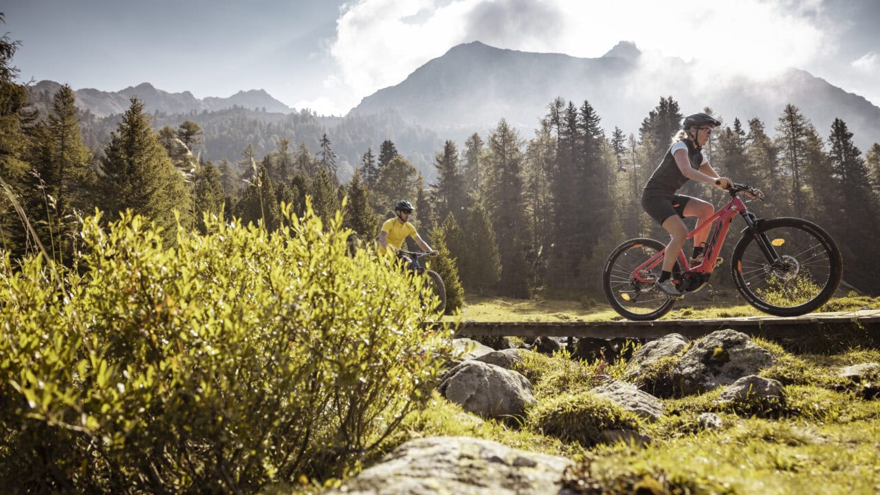 Fahrradfahrer im Wald vor Bergkulisse