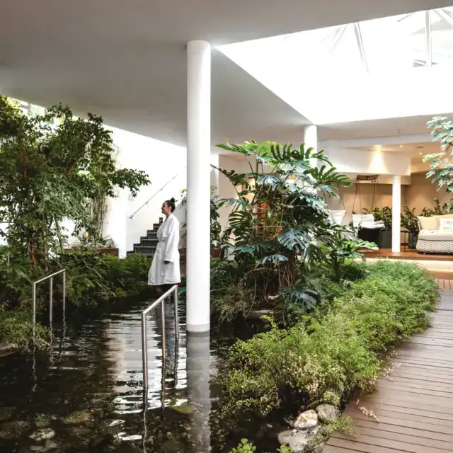 Modernes Spa mit Pflanzen und Wasserlandschaft