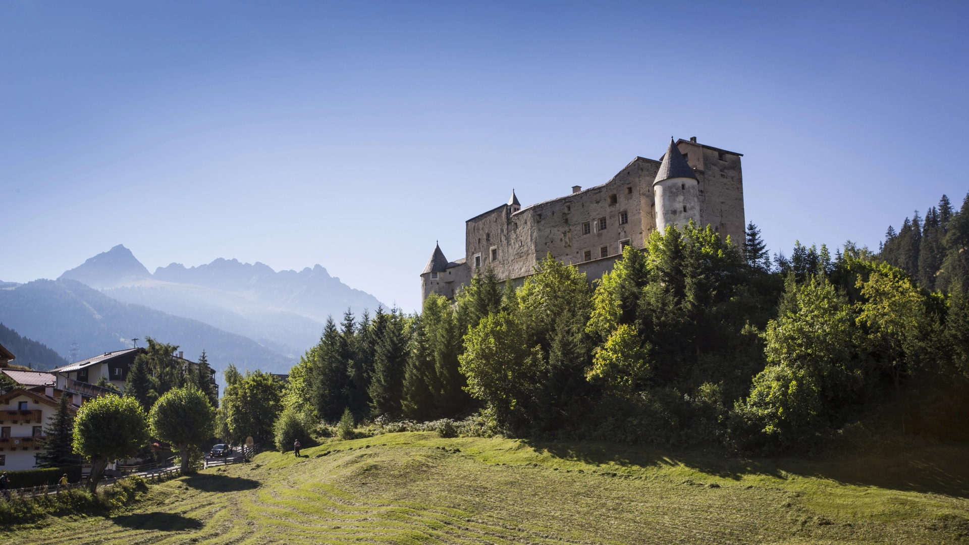 Berglandschaft mit Burg und Wald im Sommer