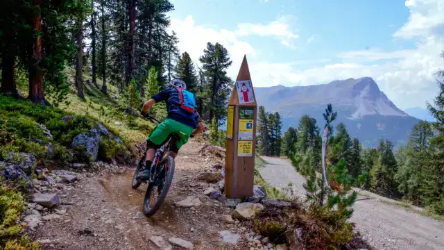 Mountainbiker auf Waldweg in den Alpen
