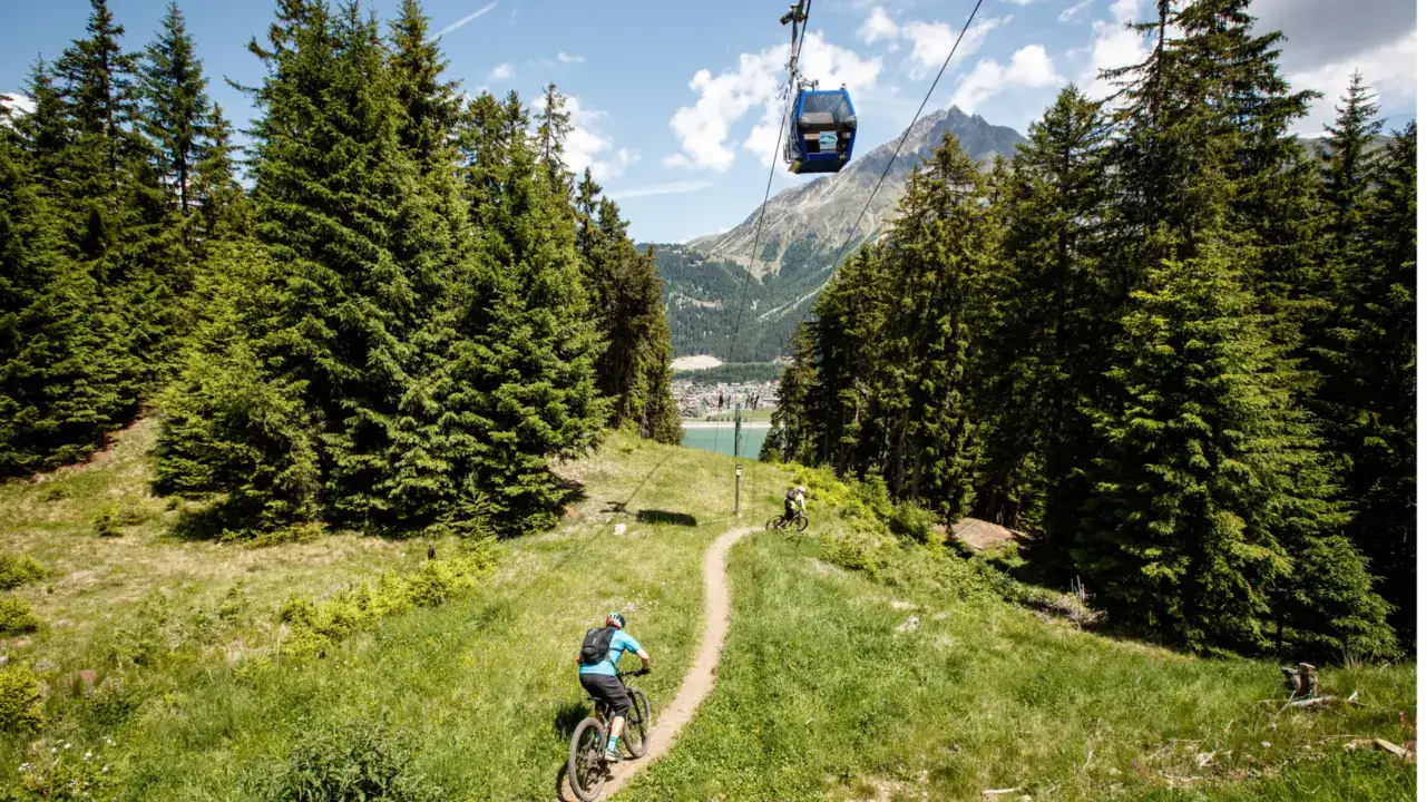 Mountainbikefahrer auf Waldweg unter Seilbahn