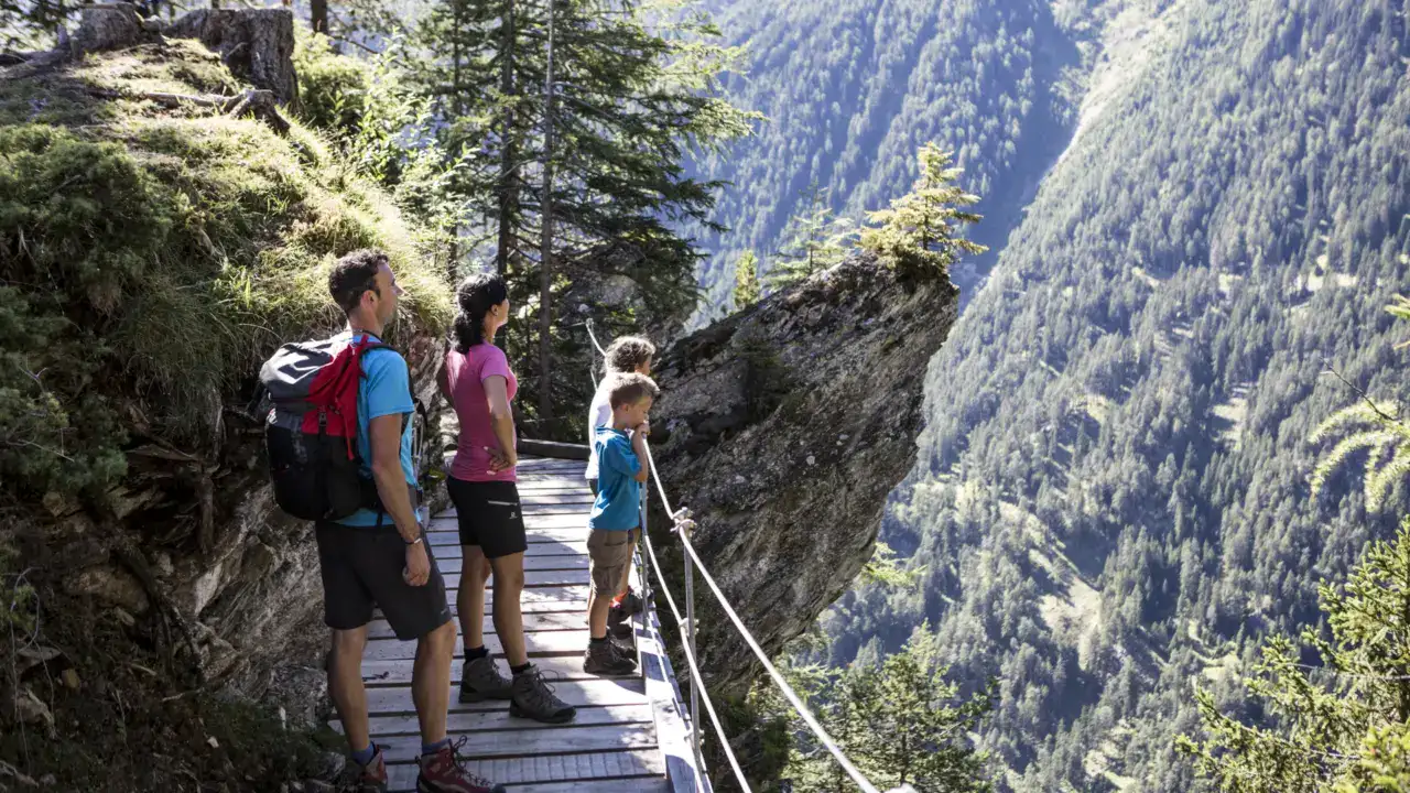 Familie wandert auf Bergweg im Wald.