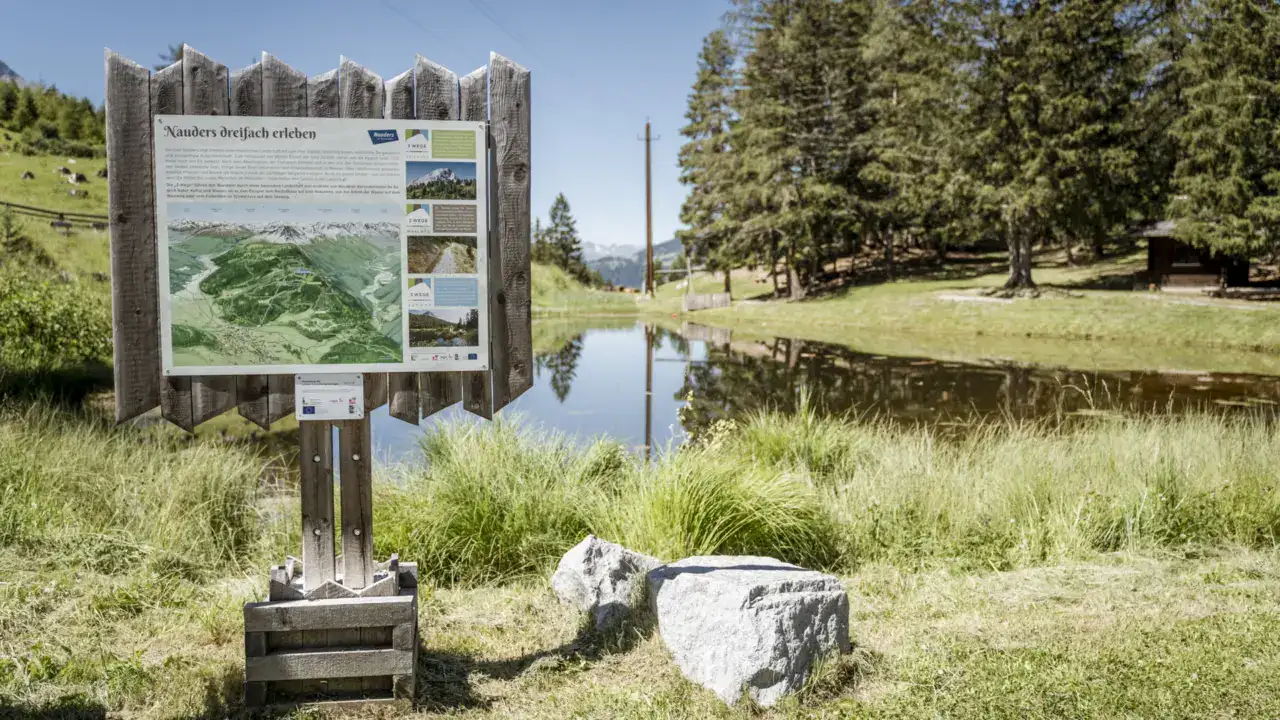 Wegweiser bei Teich im Waldgebiet